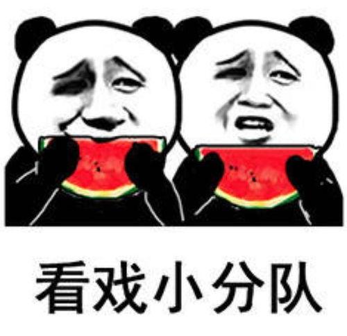 吃瓜娱乐图片表情包